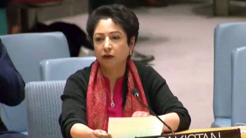 Pakistan raises voice for addressing HR abuses in Kashmir, Palestine