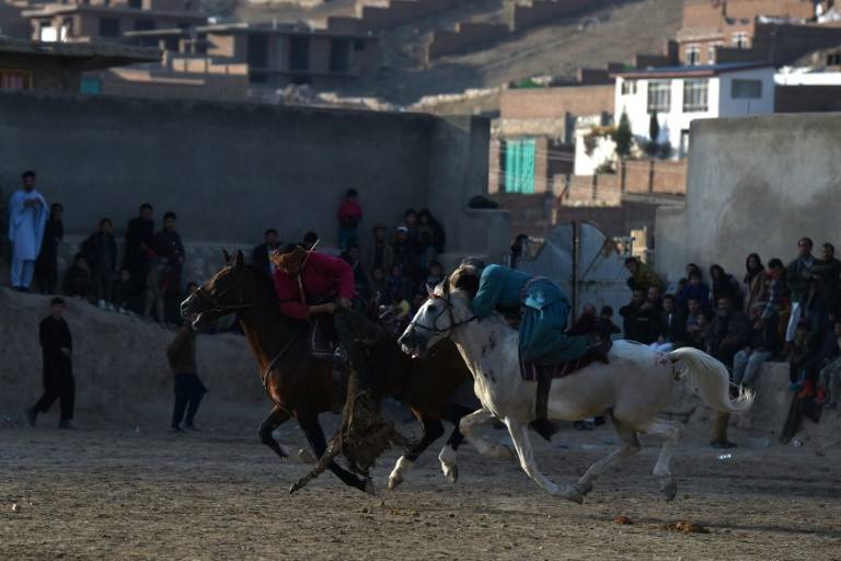 'Beasts of war': Afghanistan's buzkashi horses prepare for battle