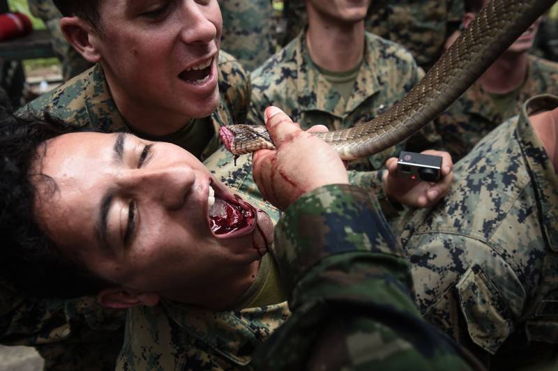 US Marines drink cobra blood in US-Thai war drills