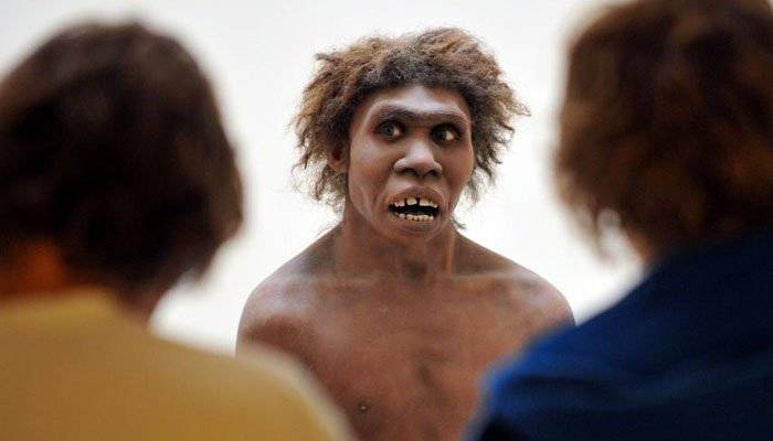 Scientists set eyes on Neanderthal 'brain'