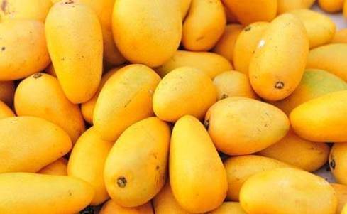 Punjab Agri dept to hold mango production competition in Lahore