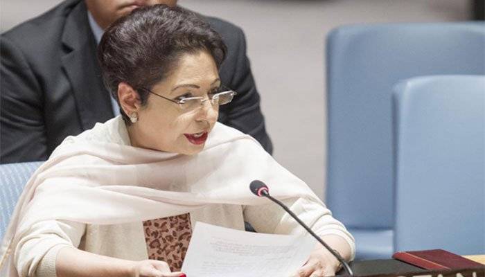 Maleeha Lodhi highlights double standards by Int'l community towards humanity 