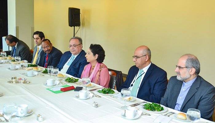 OIC envoys express solidarity with people of IHK: Maleeha