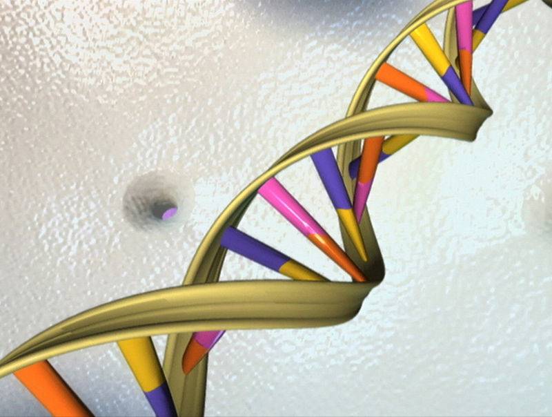 Cashing in on DNA: race on to unlock value in genetic data