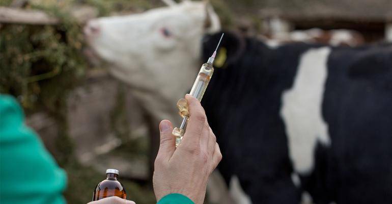 Pakistan to ink agreement with China to produce animal diseases vaccines