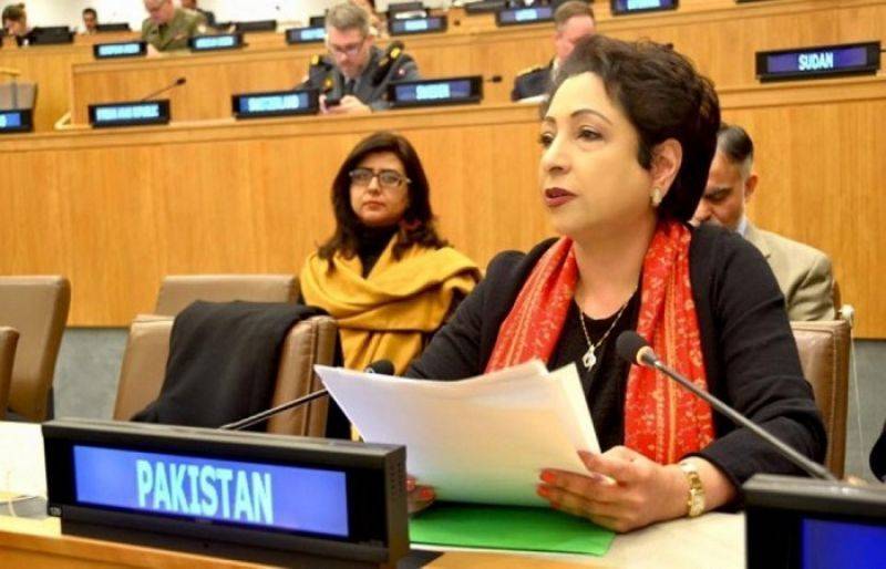 Pakistan's new govt priorities in line with UN’s SDGs: Maleeha Lodhi
