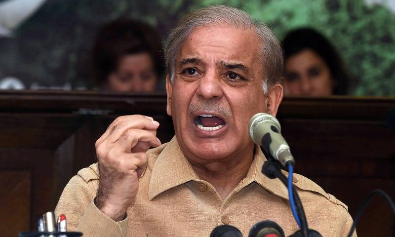 AC grants 14-day extension in Shehbaz Sharif's remand 