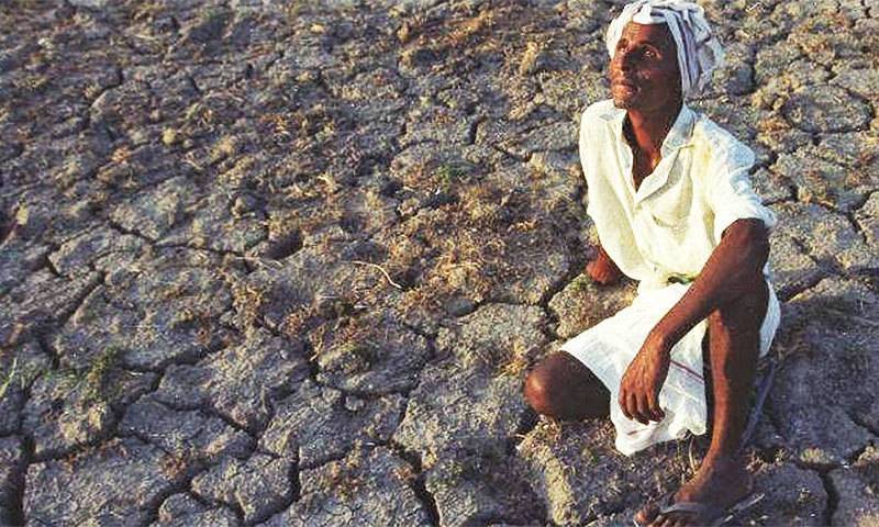 Sindh govt to dispatch animal fodder to drought-hit Thar