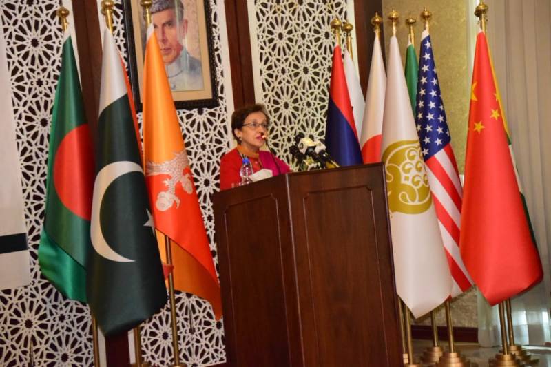 Pakistan remains committed to principles of SAARC charter: Tehmina