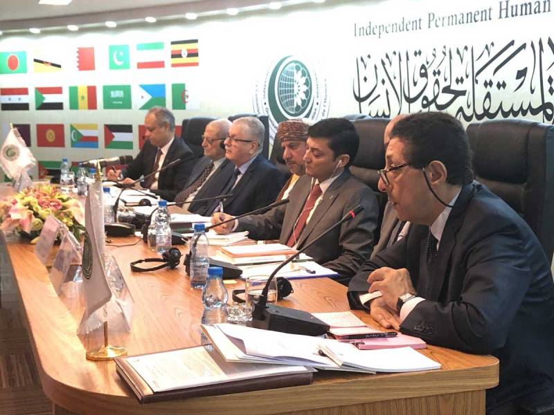 OIC strongly condemns killing of innocent Kashmiris by Indian forces in IOK