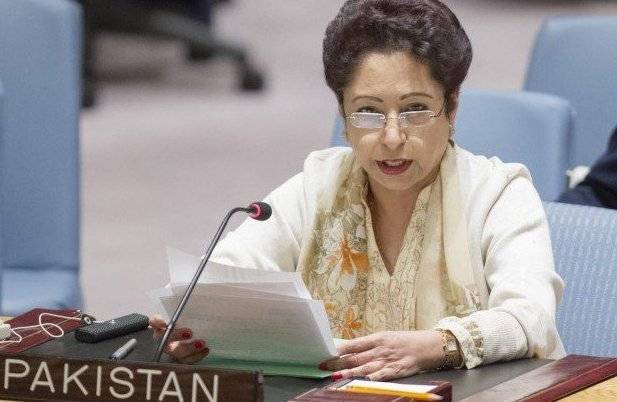 Need for international consensus to counter terror challenges: Lodhi