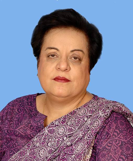 PPP, PML-N nowhere in tribal areas elections: Shireen Mazari
