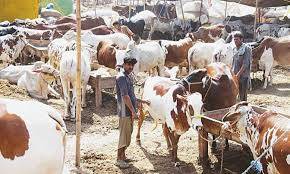Eid ul Adha holidays to start from August 12