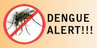 Dengue emergency imposed in twin cities of Rawalpindi-Islamabad 