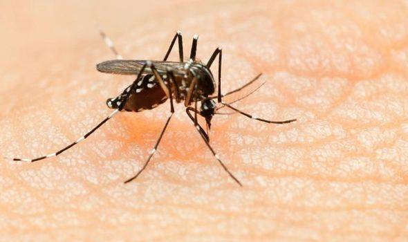 Dengue outbreak continues to spread across country 