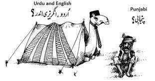 Thank you Punjabi!