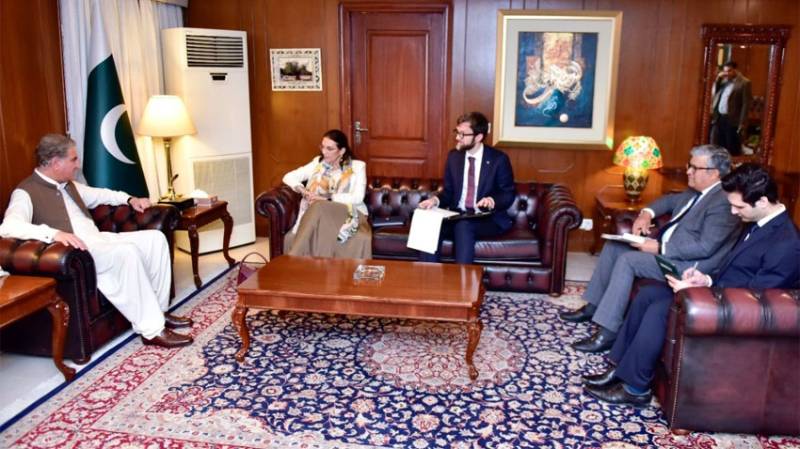 EU envoy lauds Pakistan’s commitment on FATF plan