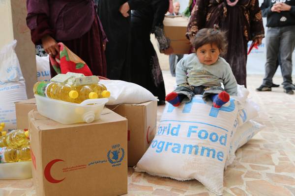  Nearly 8 million Syrians food insecure: UN agency 