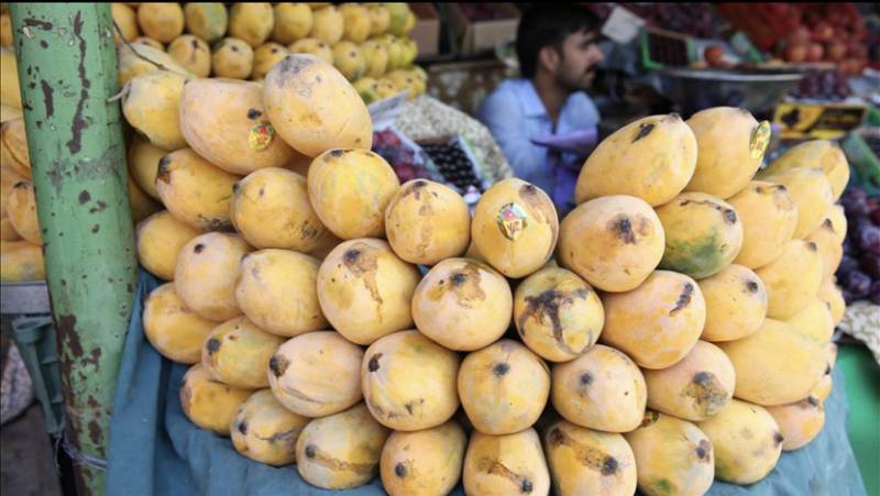 Pakistan’s mango exports ‘hugely’ hit by coronavirus restrictions