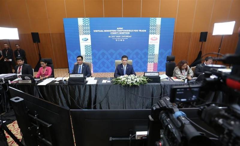 APEC reaffirms COVID-19 economic recovery priorities, movement of essential goods 