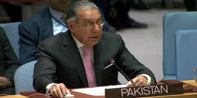 India sponsoring state terrorism in Pakistan from Afghanistan: Munir Akram 