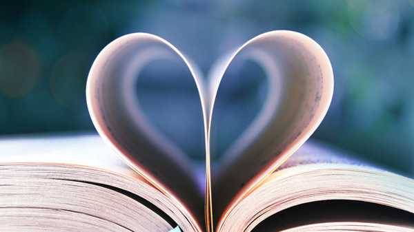 A reflection into learning how pure love transcends bonds