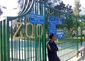 Zoo animals death case: IHC issues contempt of court show cause notice