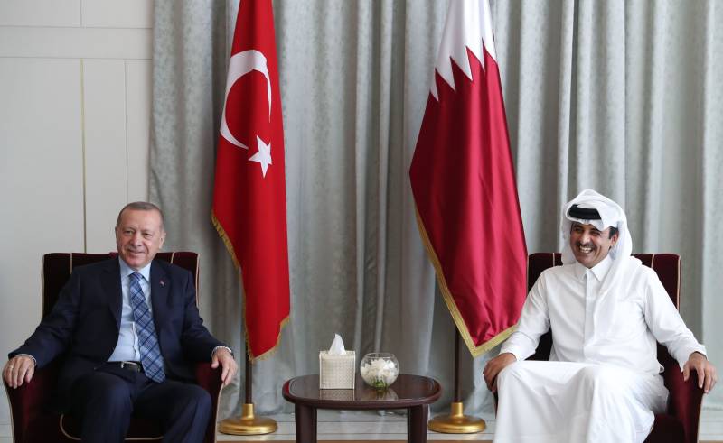Turkey's military presence in Qatar 'emergency' for Gulf States: UAE Diplomat 