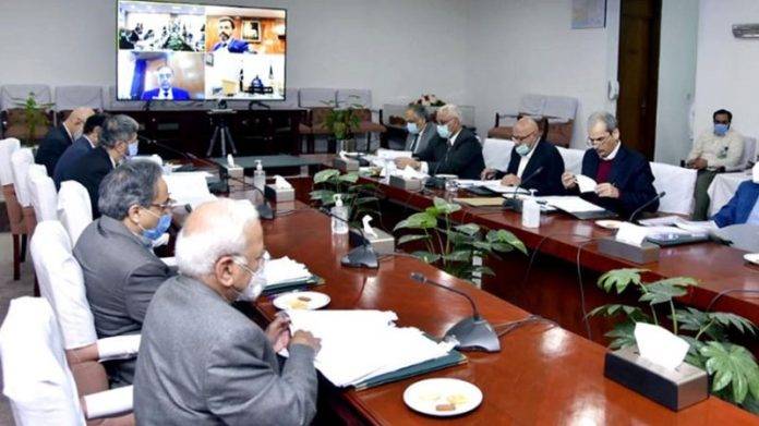 ECC forms committee to decide timeline for mango, kinnow export