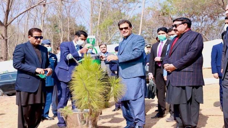 Plantation of trees ensures clean, green future: Amin Aslam