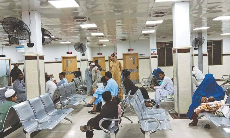 KP reports 28 death, 186 newly infected cases of COVID-19