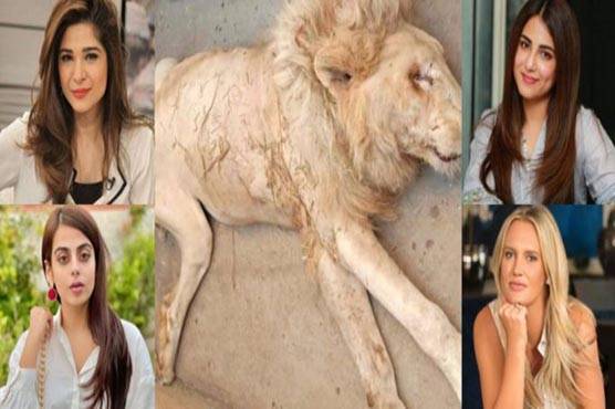 Celebrities demand to shut down zoos in Pakistan