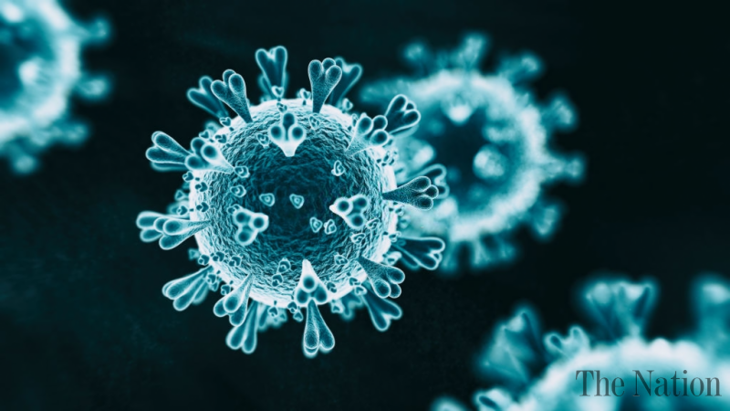 Pakistan studies 6,540 coronavirus instances, 12 deaths in 24 hours