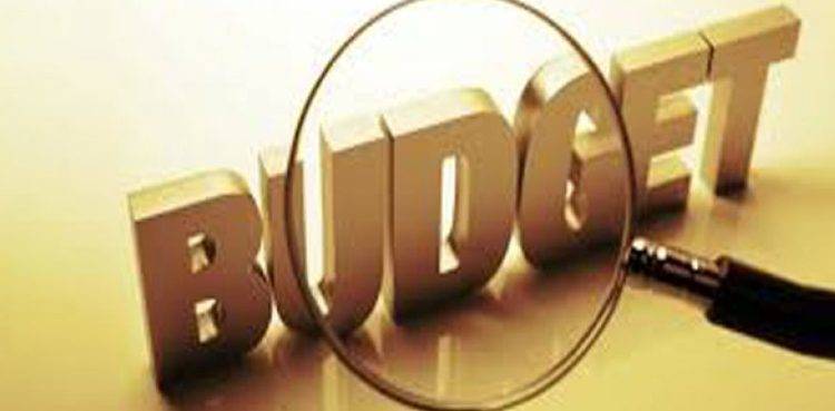 Budget: Govt unveils budget with Rs9.5tr outlay
