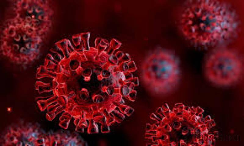Pakistan reports 510 coronavirus cases, 4 deaths in 24 hours