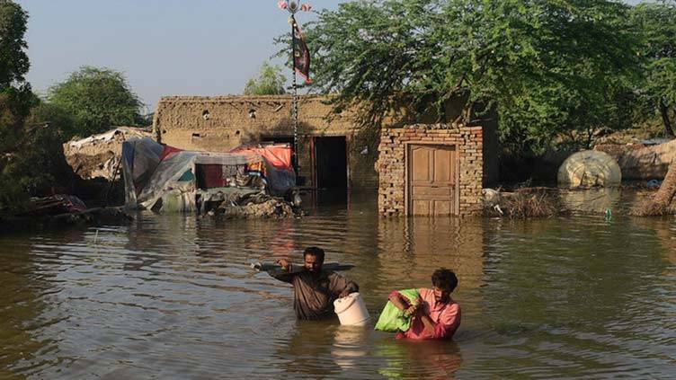 Death toll from catastrophic flood rises to 1,186: NDMA