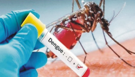 Another 75 dengue cases reported in Islamabad