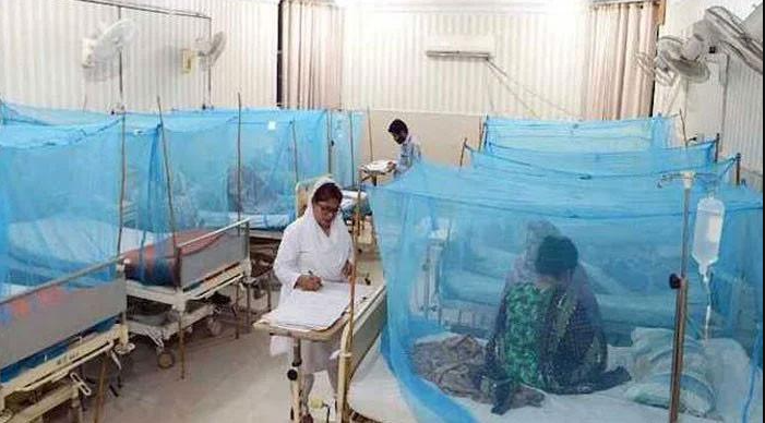 Country facing severe dengue emergency: Sherry Rehman