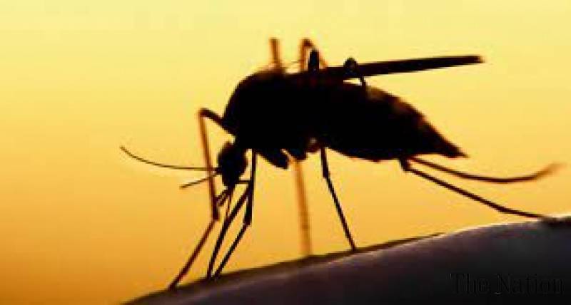 Islamabad reports 90 more dengue cases, tally reaches 2,162
