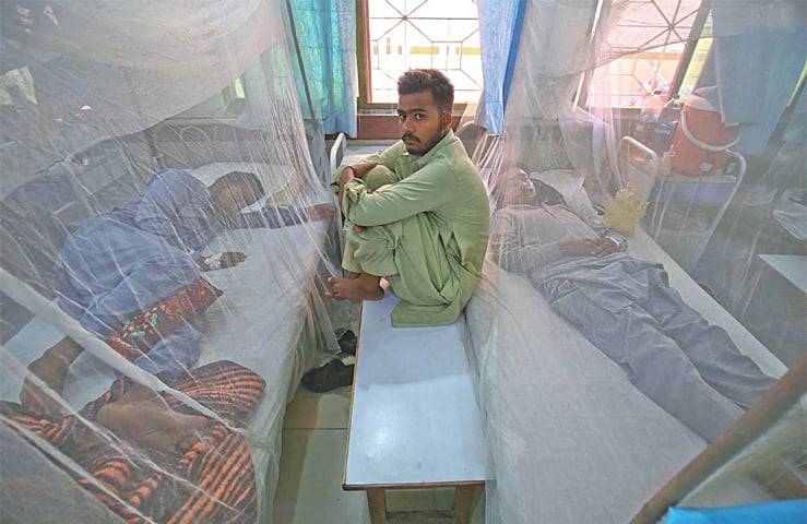 Karachi reports 246 more dengue virus cases in 24 hours