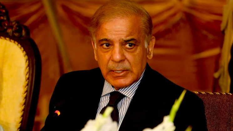 PM Shehbaz asks Turkish investors to expand footprint in renewable energy