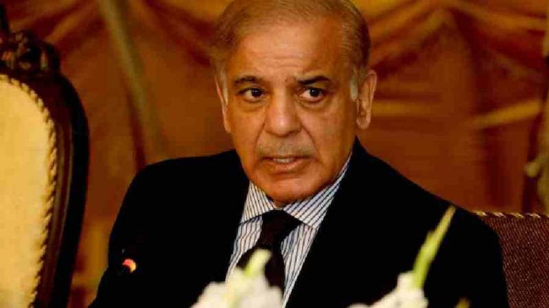 PM Shehbaz Sharif thanks world for support at Geneva Conference