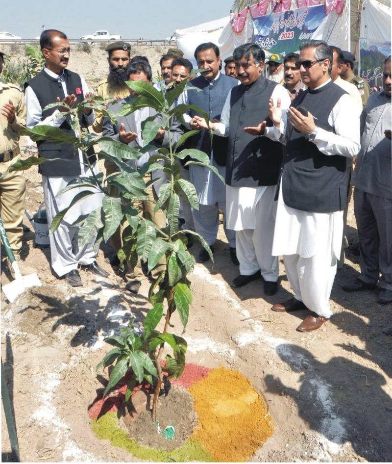 Forest Department of South Punjab starts spring plantation campaign