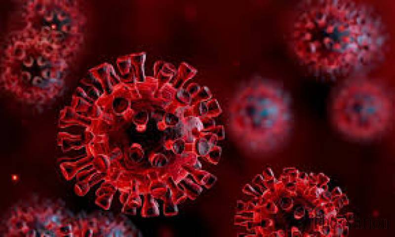 Pakistan reports 133 coronavirus cases in 24 hours