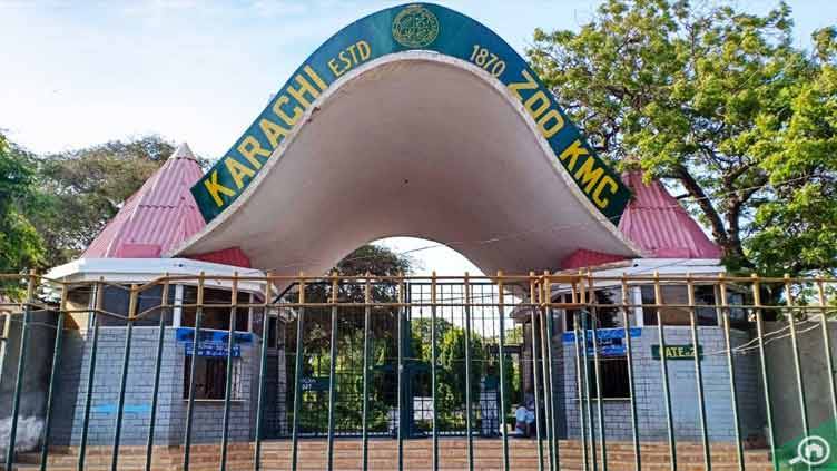 Govt orders to shut down Karachi Zoo permanently