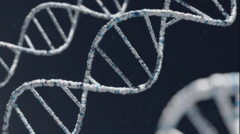 مطالعہ سے پتہ چلتا ہے کہ پورے ماحول میں انسانی ‘ای ڈی این اے’ کا پتہ لگایا جاسکتا ہے۔