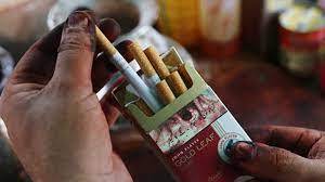 19.7 percent of Pakistani adults use tobacco