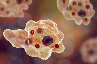 Naegleria claims two more lives in Karachi