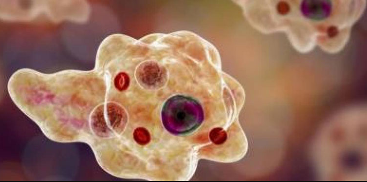 Sindh govt urges people to take precautions as Naegleria cases surge in Karachi