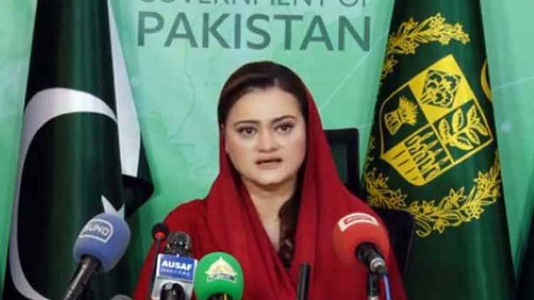 Interim PM appointment will be in line with constitution, says Marriyum Aurangzeb